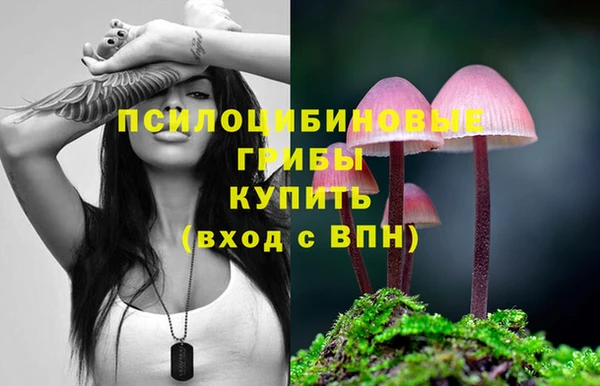 каннабис Приозерск